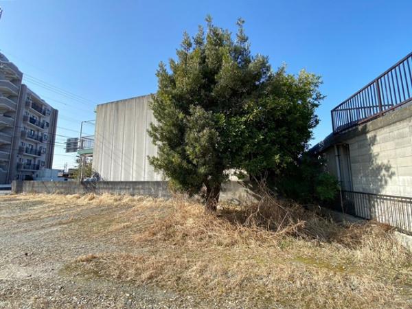 刈谷市今川町田地池の土地