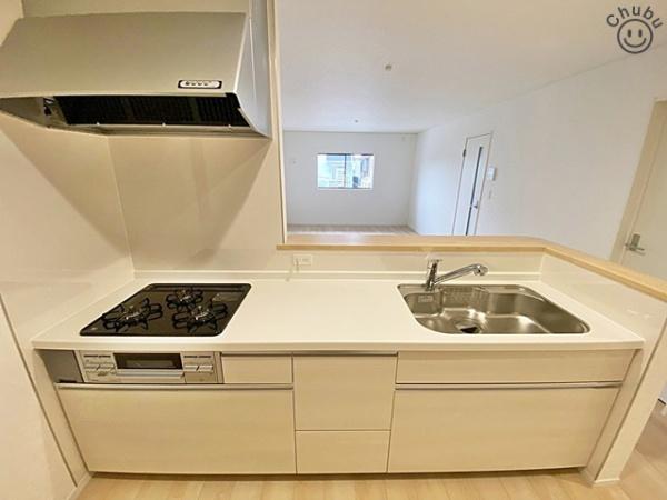 豊田市泉町新築戸建全2棟1号棟