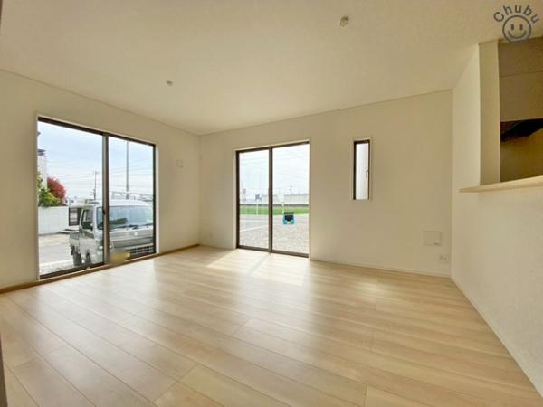 安城市高棚町新築戸建全2棟1号棟