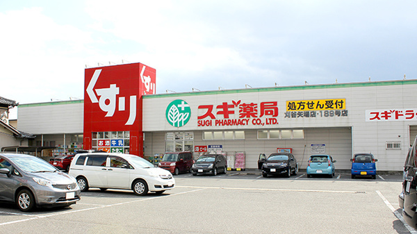 ダイアパレス刈谷(スギ薬局刈谷矢場店)