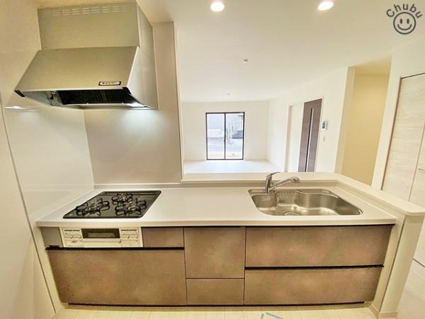 豊田市美里２丁目新築戸建全3棟2号棟