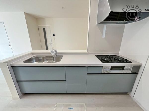 知立市牛田１丁目新築戸建全3棟2号棟