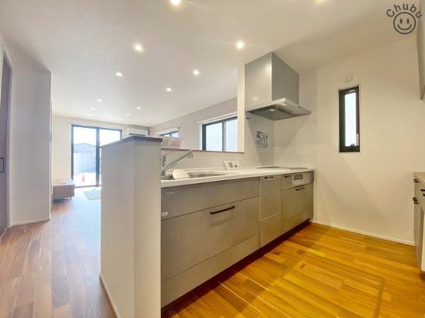 岡崎市上佐々木町新築戸建全5棟A号棟