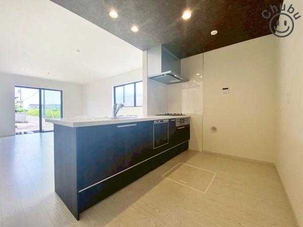 刈谷市泉田町新築戸建全2棟1号棟