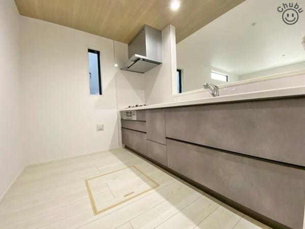 幸田町大草新築戸建全4棟1号棟