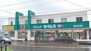 東海市富木島町新築戸建全2棟1号棟(ドラッグセイムス東海富木島店)