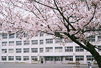 豊田市四郷町新築戸建全3棟2号棟(豊田市立四郷小学校)