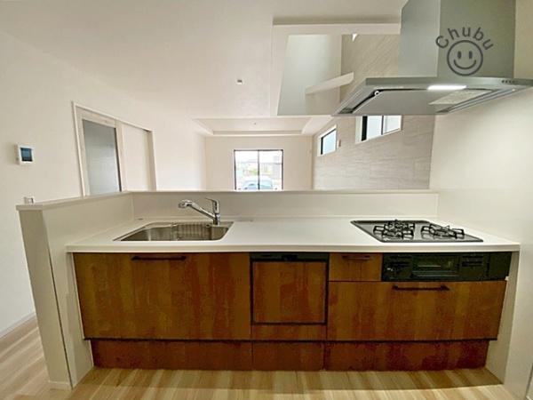 豊田市明和町新築戸建全1棟1号棟