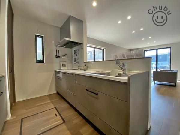 安城市横山町新築戸建全1棟A号棟