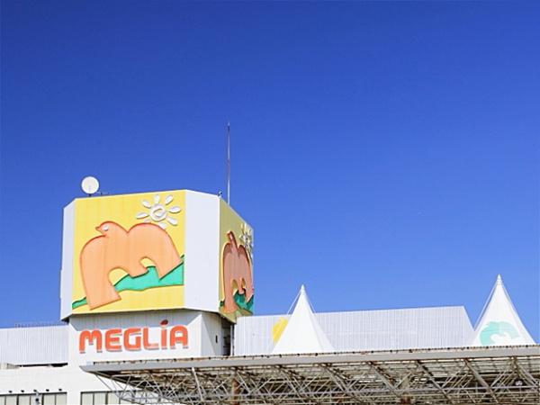 豊田市畝部東町新築戸建全2棟1号棟(メグリアうねべ店)