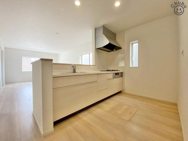 豊田市志賀町新築戸建全2棟1号棟