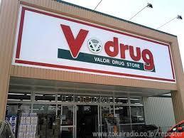 岡崎市上地新築戸建全2棟1号棟(V・drug上地店)