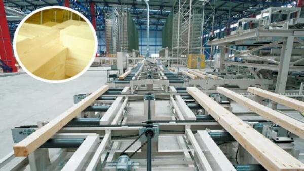 豊田市美里６丁目新築戸建全3棟1号棟