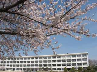 豊田市水源町新築戸建全3棟2号棟(豊田市立平和小学校)