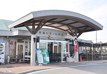 岡崎市土井町新築戸建全1棟1号棟(JAファーマーズマーケット　ふれあいドーム岡崎)