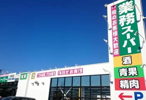 安城市百石町２丁目の新築一戸建(業務スーパー安城店)