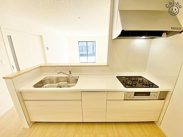 刈谷市小垣江町新築戸建全9棟5号棟