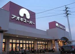 岡崎市六供町　新築戸建全1棟(アオキスーパー岡崎康生店)