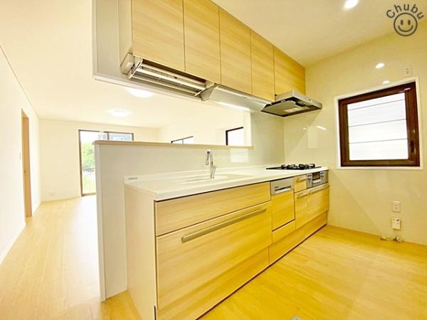 豊田市松平志賀町マゴイチの中古一戸建て