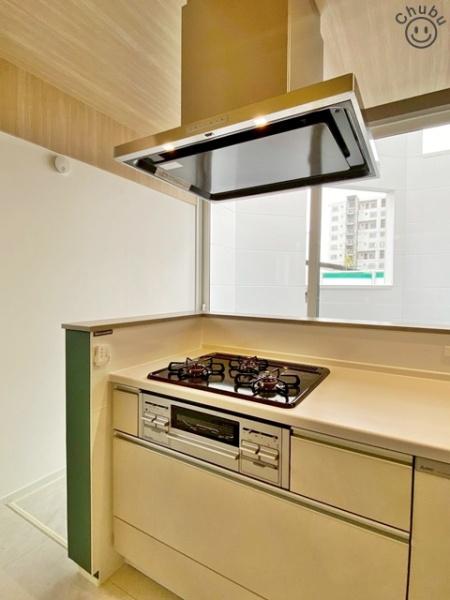 岡崎市鴨田町新築戸建全1棟