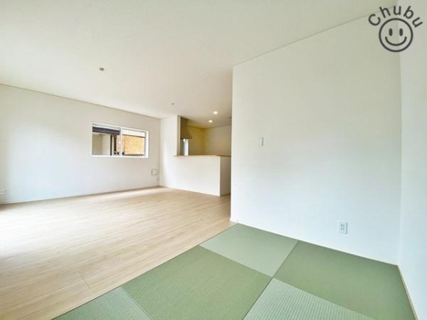 豊川市伊奈町新築戸建全1棟