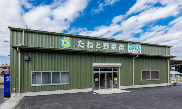 大府市吉川町新築戸建全1棟(しんしん大府店)