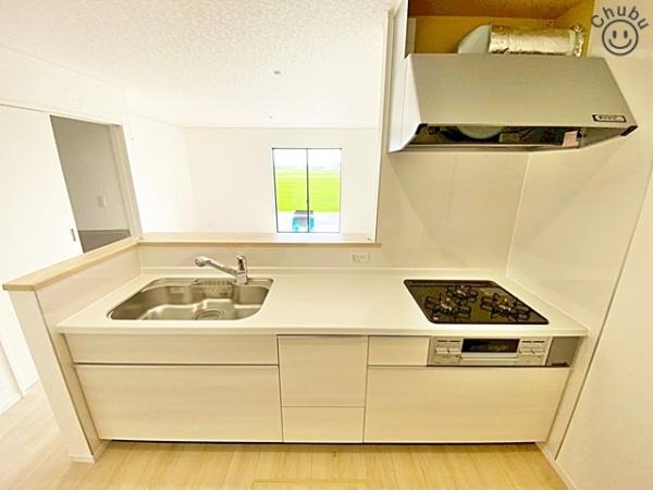 安城市里町新築戸建全1棟