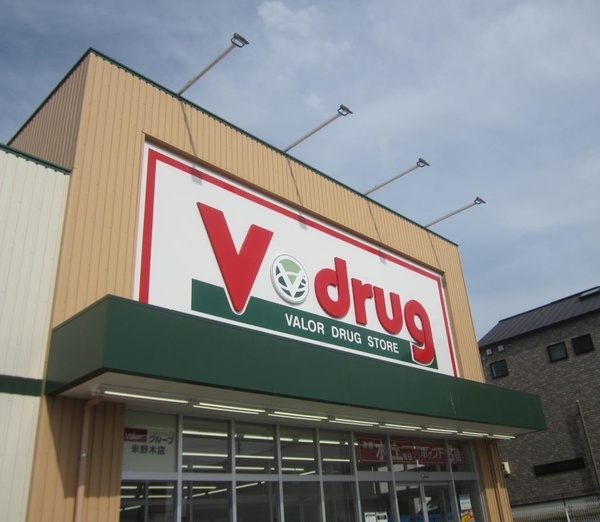 高浜市稗田町新築戸建全3棟3号棟(V・drug高浜店)