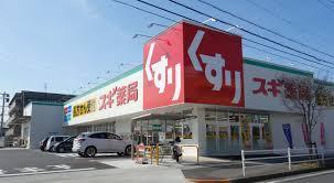 豊田市志賀町新築戸建全2棟A号棟(スギドラッグ志賀店)