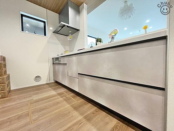 安城市城南町新築戸建全2棟2号棟