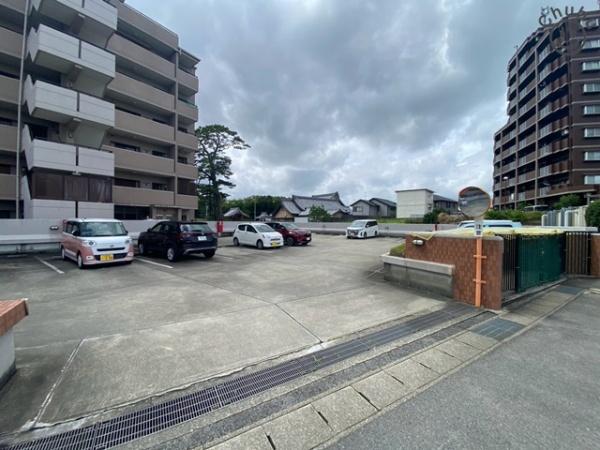 バンベール若林