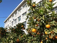 ダイアパレス豊田小坂丘(豊田市立衣丘小学校)