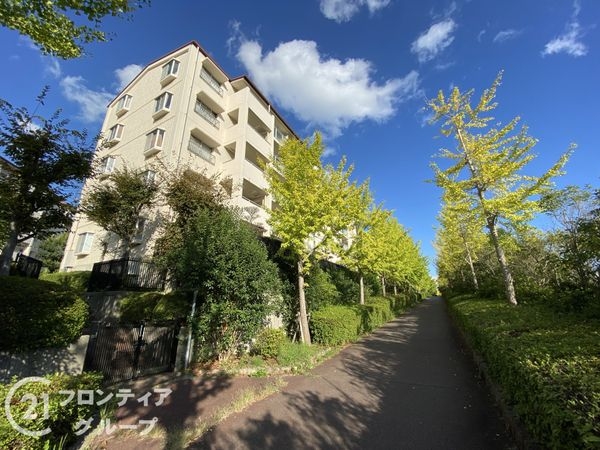 研究学園５団地　５２５号棟　中古マンション