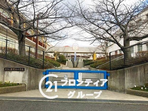 ネクステージ西神中央C棟 中古マンション(神戸市立樫野台小学校)