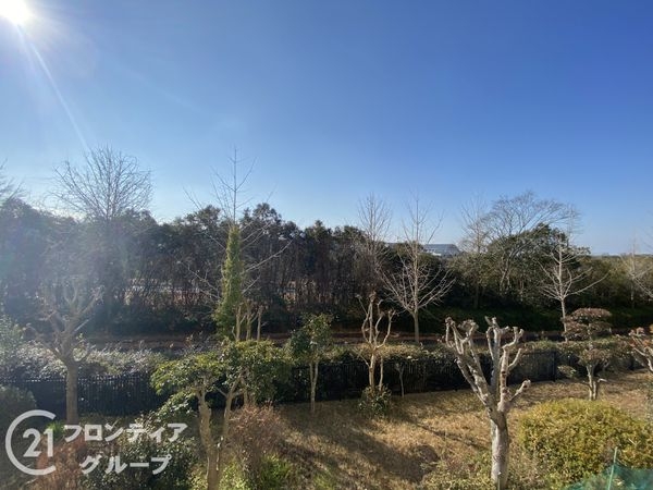 研究学園（５）団地　５２３号棟　中古マンション