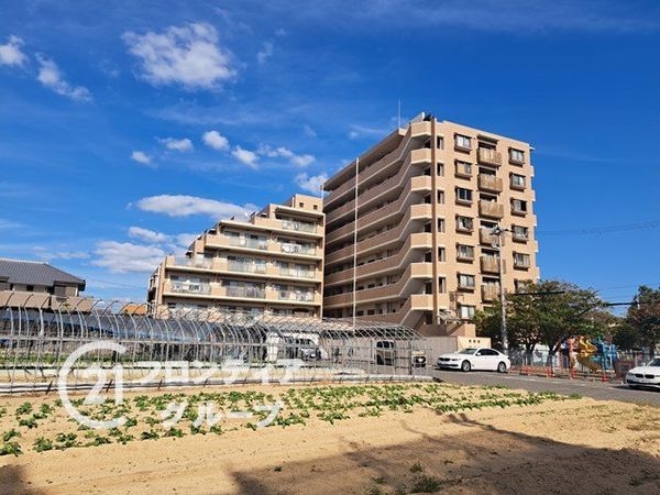 ワコーレ朝霧シーサイドヒルズ３　中古マンション