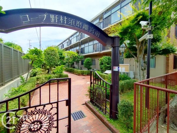 コープ野村須磨離宮前Ｃ棟　中古マンション