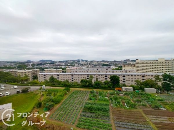 ネオコーポ明舞壱番館　中古マンション