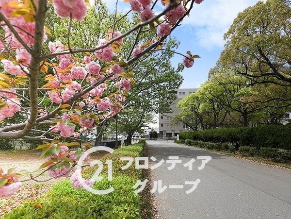 ネバーランド明石公園　中古マンション