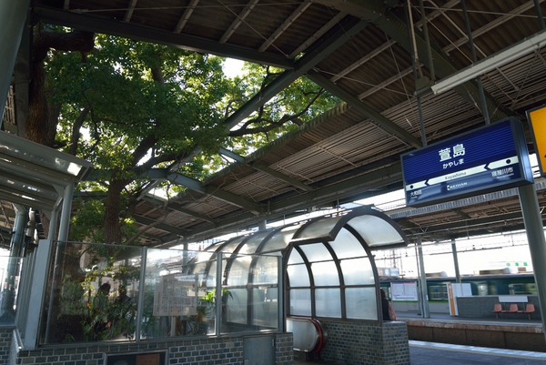 グレースランド萱島(萱島駅(京阪本線))