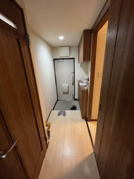 枚方ハイツ　7号棟