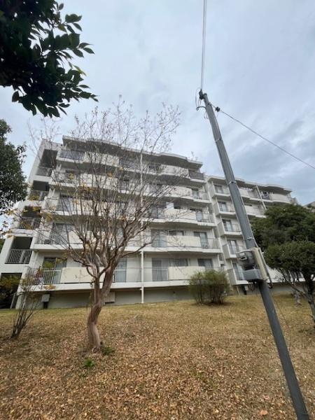 若山台住宅31号棟