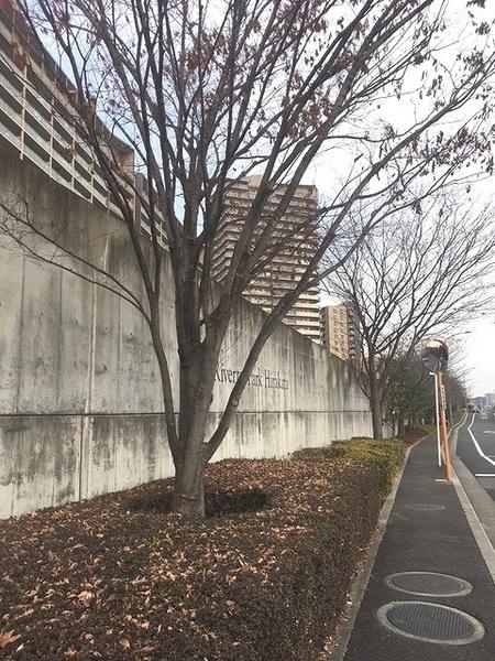 リバティパーク枚方B棟