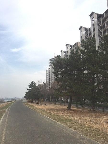 リバティパーク枚方B棟