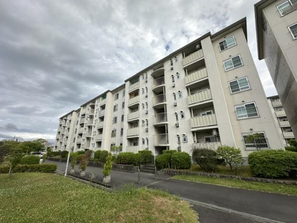 藤阪ハイツ　D6棟