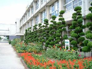 藤阪ハイツA1棟(枚方市立藤阪小学校)