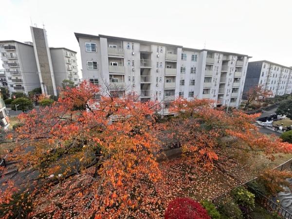藤阪ハイツA1棟