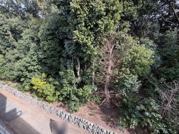 枚方市楠葉野田３丁目の新築一戸建