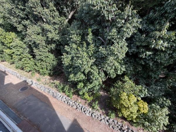 枚方市楠葉野田３丁目の新築一戸建