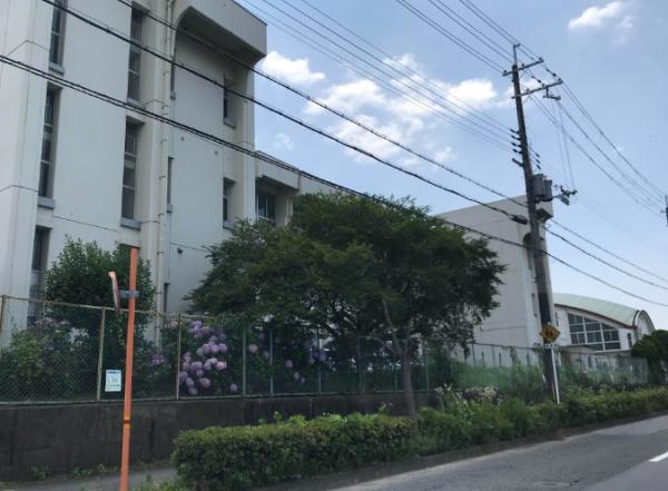 久世郡久御山町栄４丁目の土地(久御山町立東角小学校)
